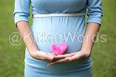 abdominal pregnancy Image